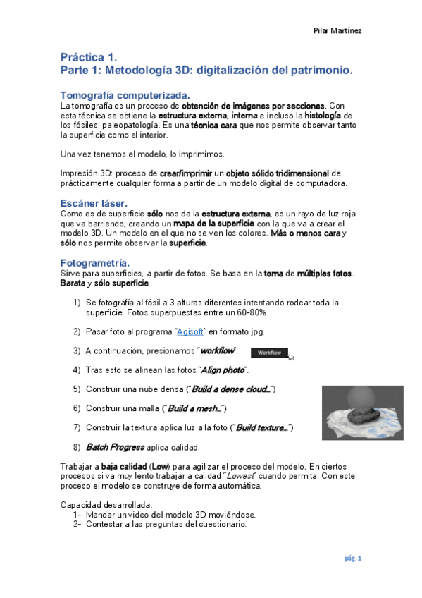 Miniatura del documento practica-1-paleo.pdf