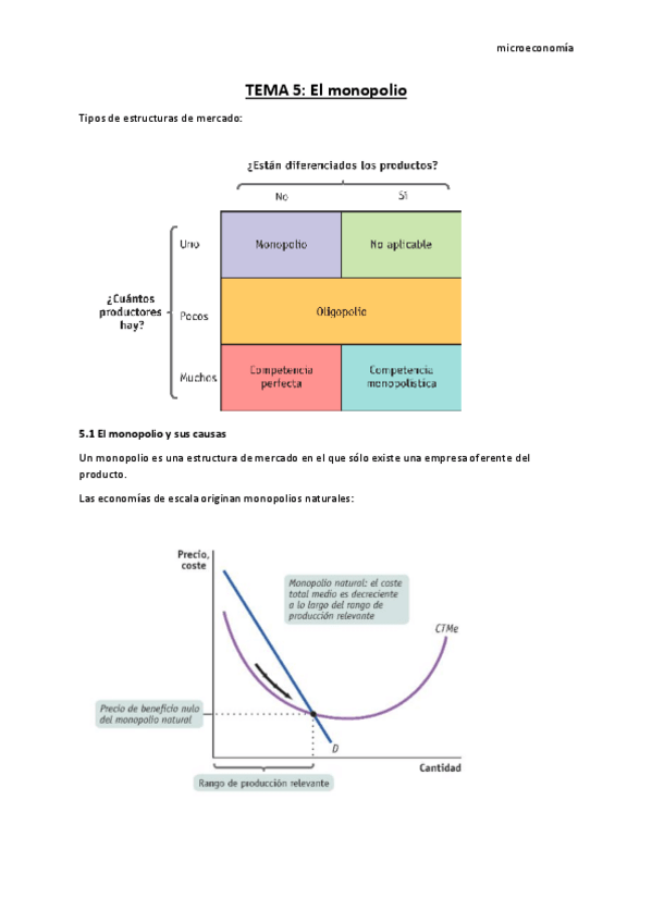 Miniatura del documento tema-5-micro.pdf
