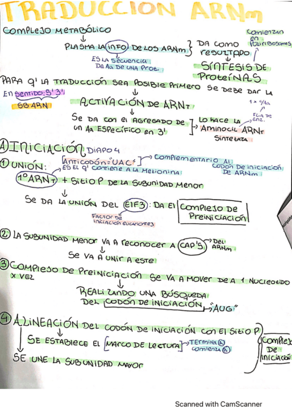 Miniatura del documento Traduccion-de-ARNm.pdf