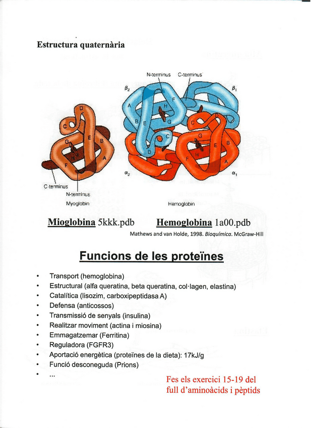 Miniatura del documento bioquimica-tema-4.pdf