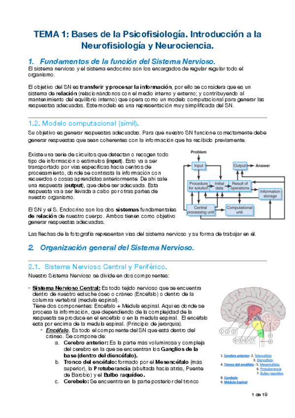 Miniatura del documento Tema 1.pdf