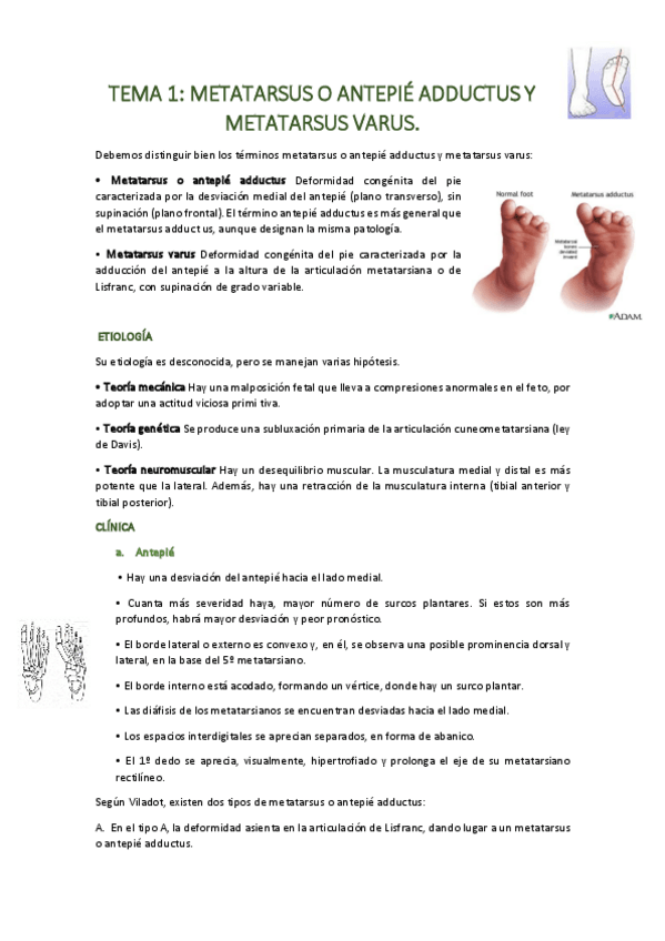 Miniatura del documento Unidad-1-Palomo.pdf