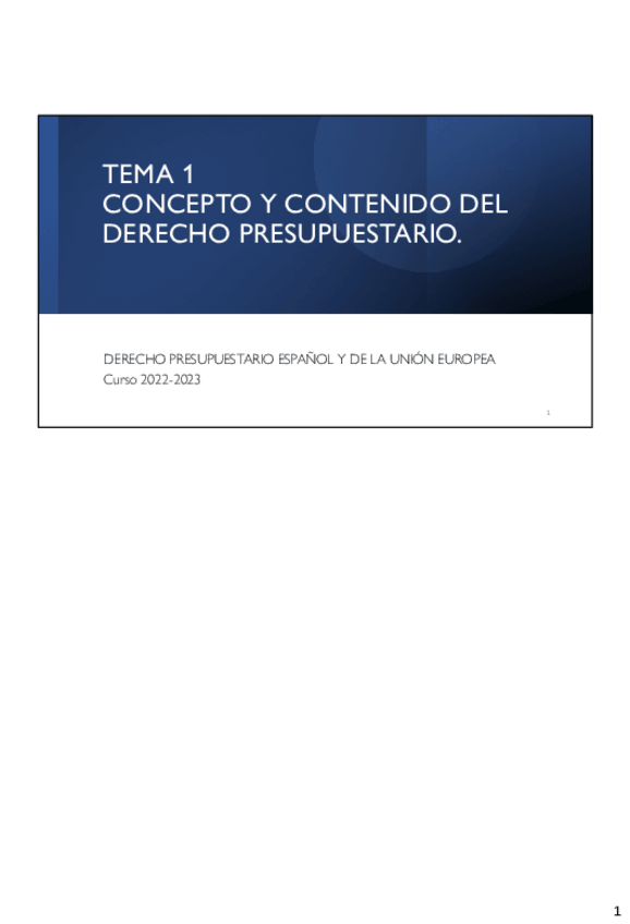 Miniatura del documento 1.pdf