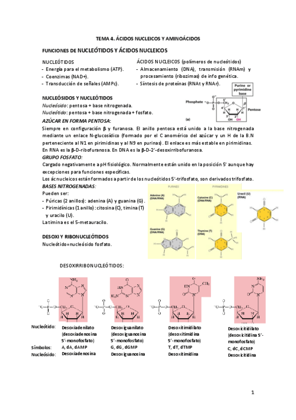 Miniatura del documento TEMA-4-BQ.pdf