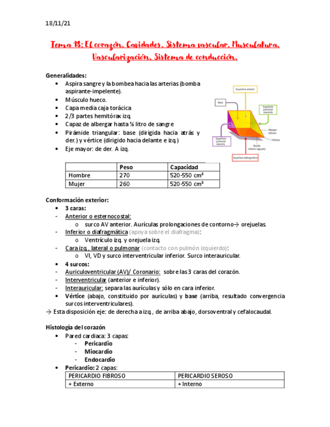 Miniatura del documento El-corazon-apuntes-.pdf