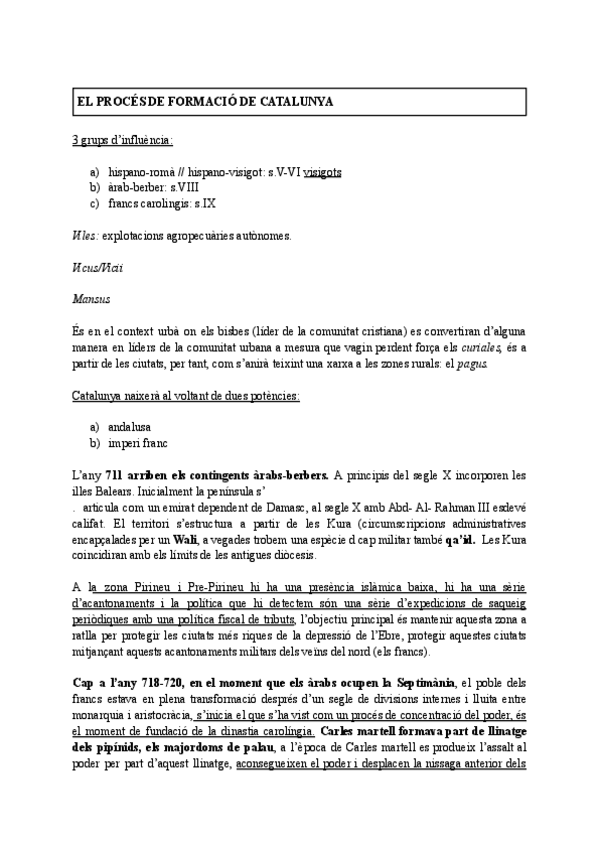 Miniatura del documento medieval-catalunya-EXAM-2.pdf