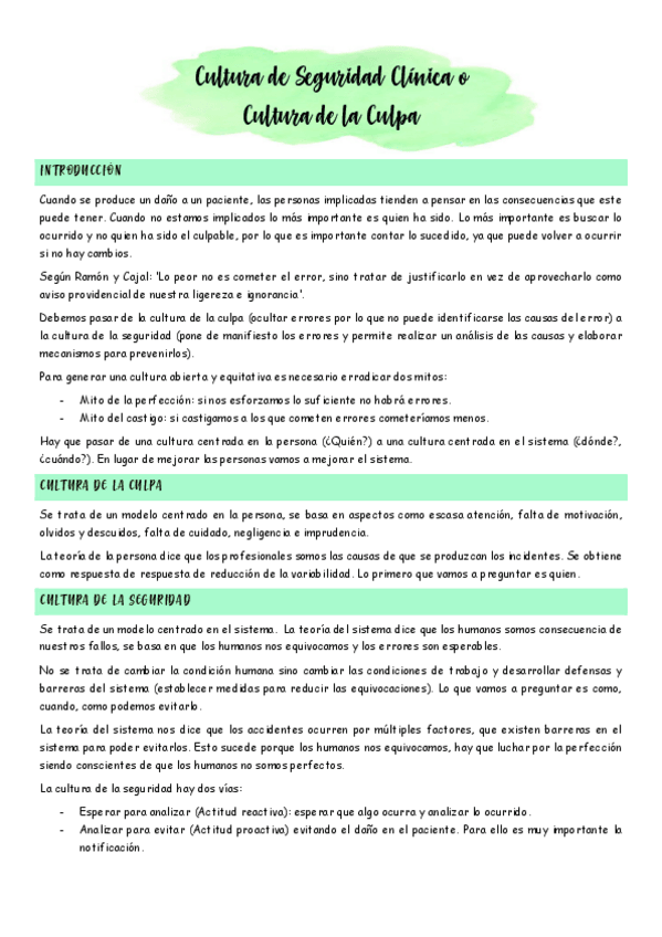 Miniatura del documento Cultura-de-la-seguridad.pdf