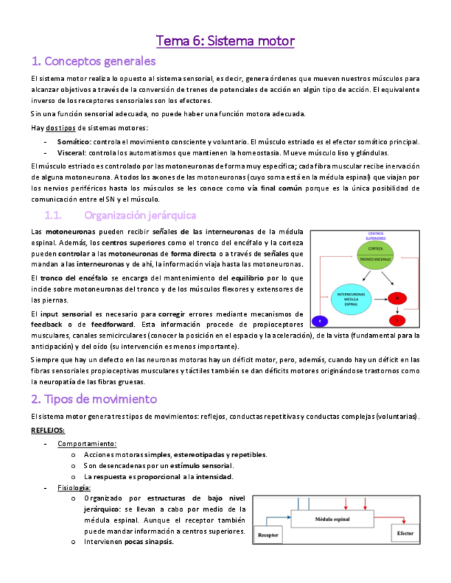 Miniatura del documento Tema-6-Sistema-motor.pdf