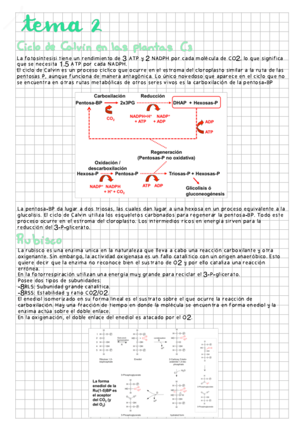 Miniatura del documento Tema-2.pdf