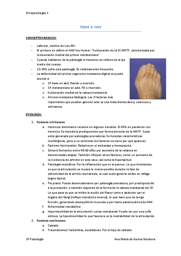 Miniatura del documento Tema 1 HAV.pdf