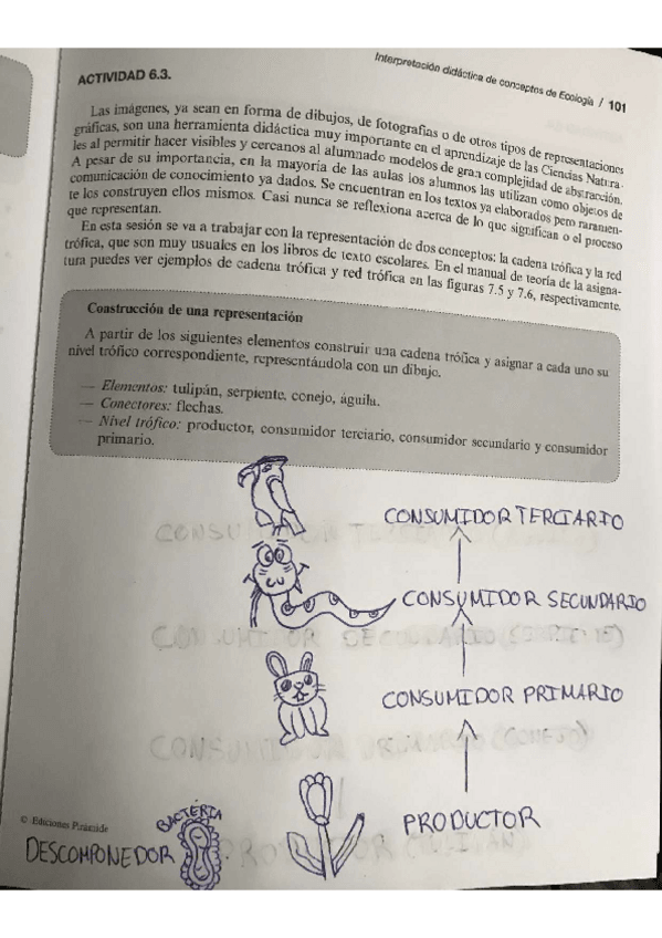 Miniatura del documento IMG4970.pdf