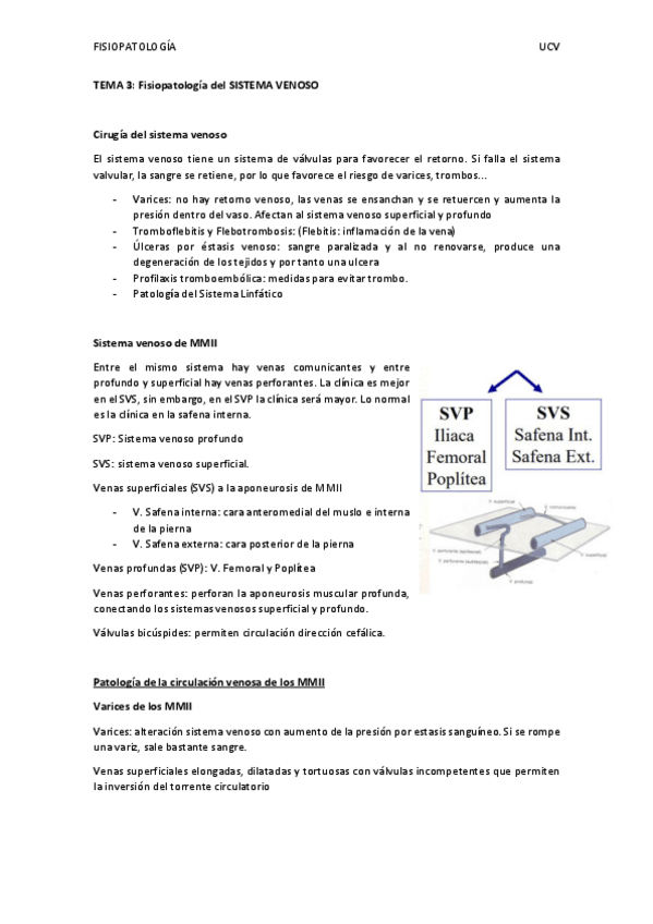 Miniatura del documento TEMA-3-Sistema-venoso.pdf