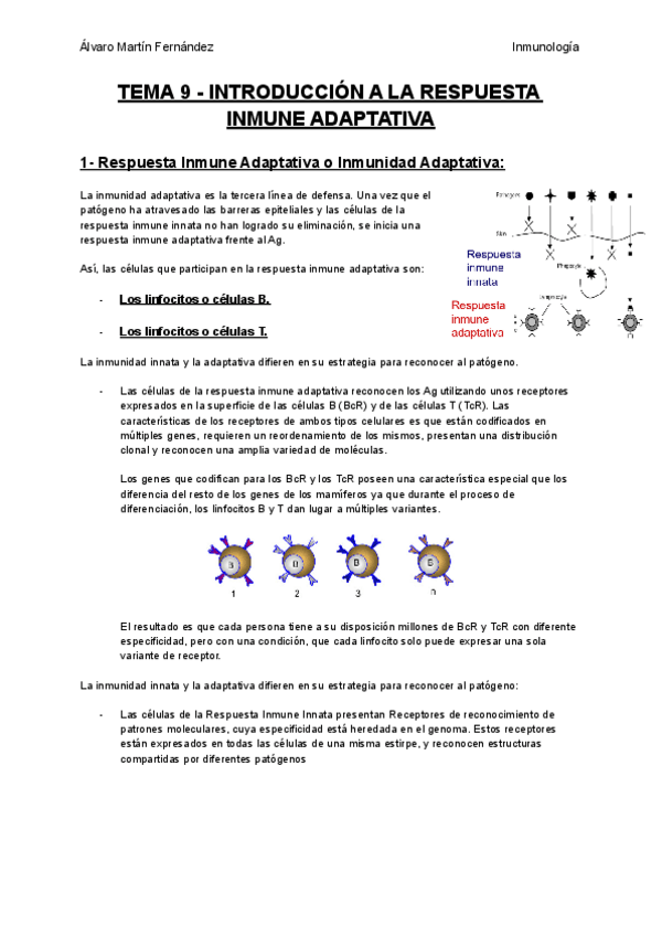Miniatura del documento TEMA-9-INTRODUCCION-A-LA-RESPUESTA-INMUNE-ADAPTATIVA.pdf