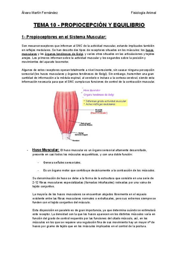 Miniatura del documento TEMA-10-PROPIOCEPCION-Y-EQUILIBRIO.pdf