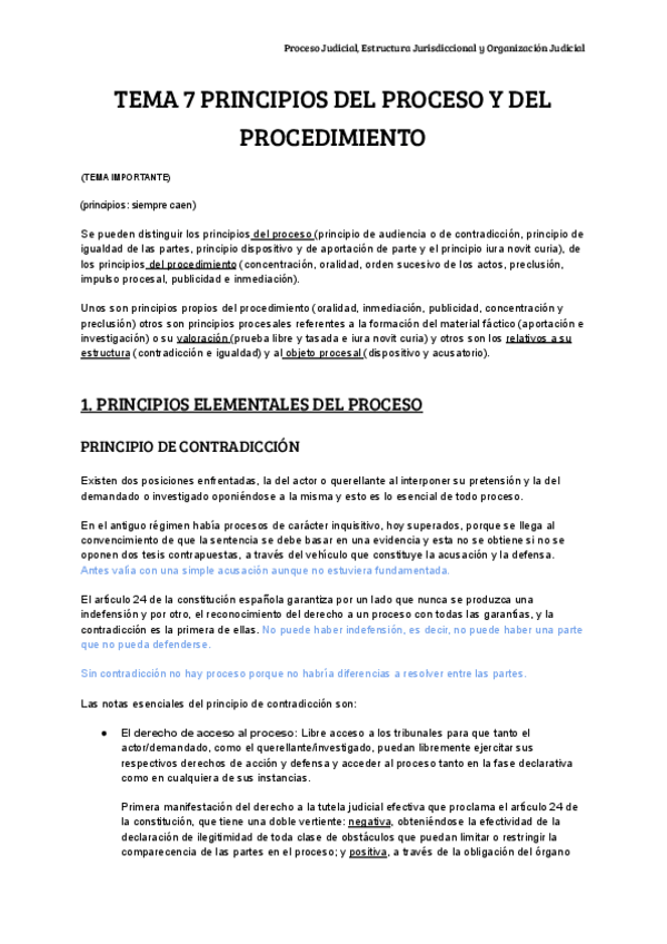 Miniatura del documento TEMA-7-PRINCIPIOS-DEL-PROCESO-Y-DEL-PROCEDIMIENTO-2.pdf