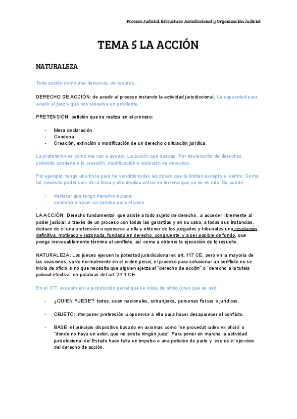 Miniatura del documento TEMA-5-LA-ACCION-1.pdf