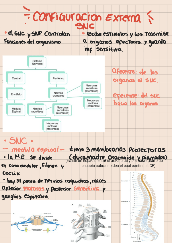 Miniatura del documento Snc.pdf