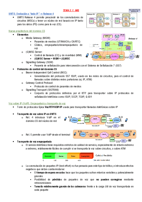 Miniatura del documento IMS.pdf