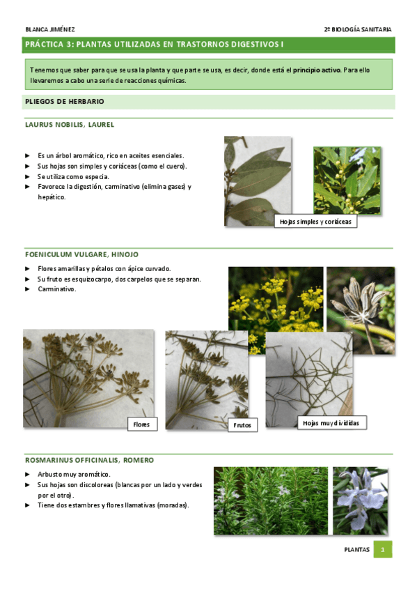 Miniatura del documento PRACTICA-3-TRASTORNOS-DIGESTIVOS.pdf