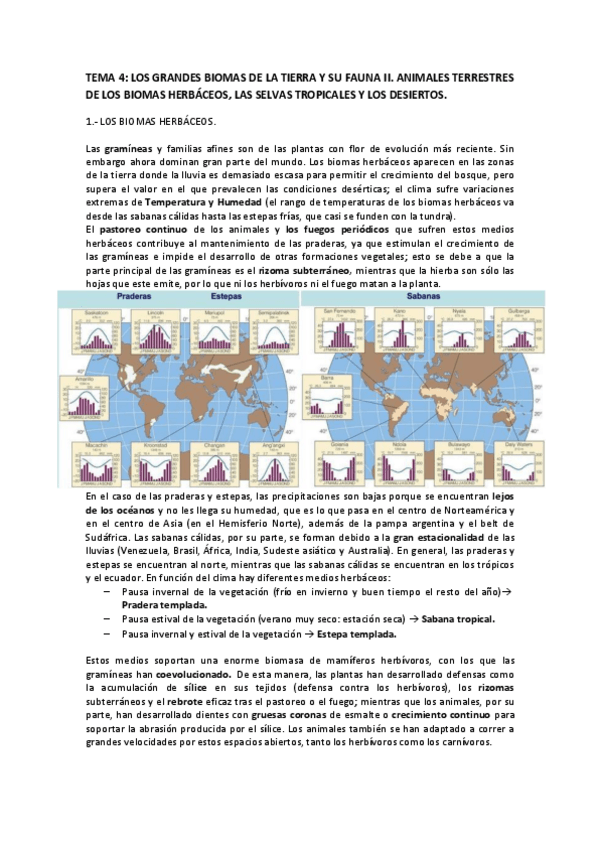 Miniatura del documento BAMA-TEMA-4.pdf