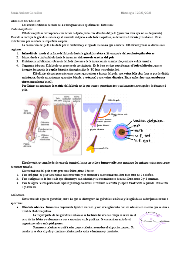 Miniatura del documento Anexos-cutaneos.pdf