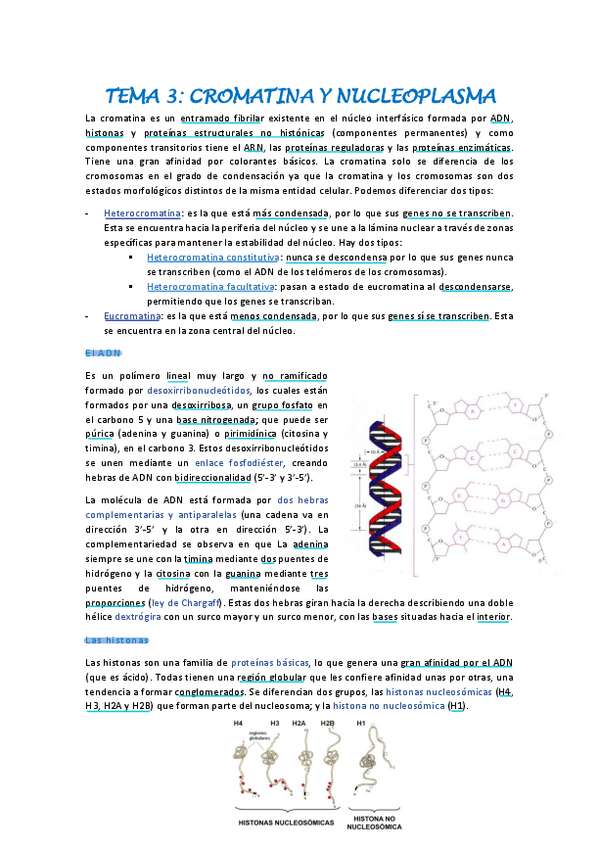 Miniatura del documento tema-3-biologia-celular.pdf