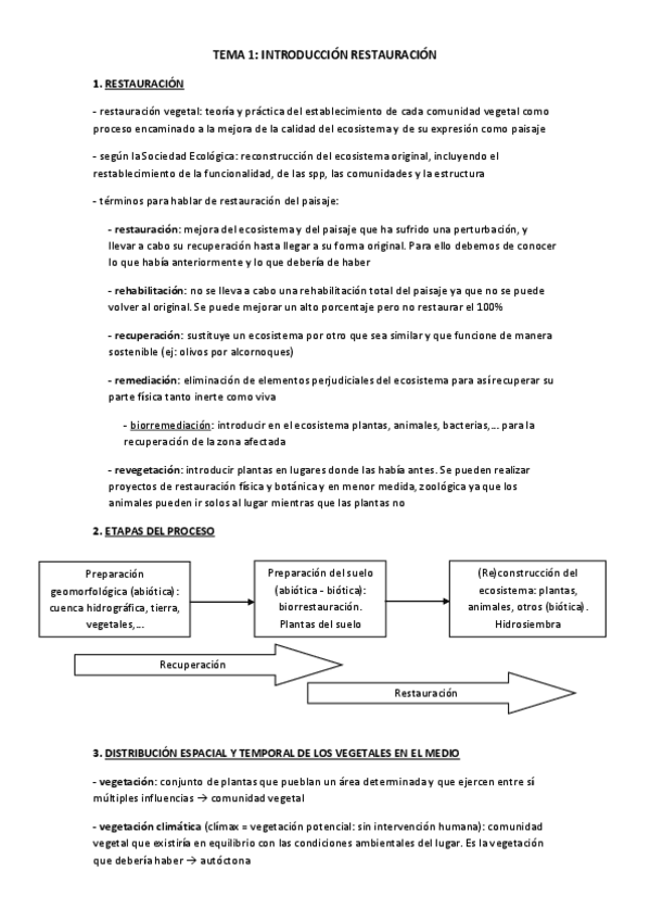 Miniatura del documento APUNTES RESTAURACIÓN.pdf