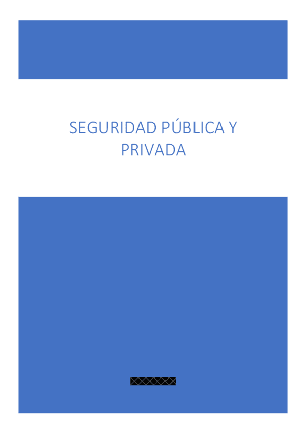Miniatura del documento SEGURIDAD-PUBLICA-Y-PRIVADA.pdf