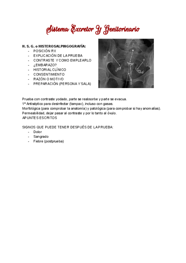 Miniatura del documento TEMA-1-.pdf
