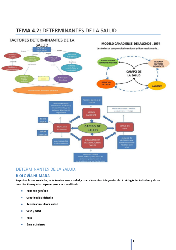 Miniatura del documento TEMA-4.pdf