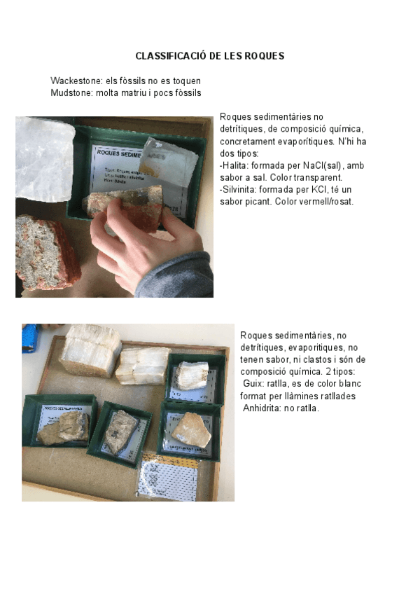 Miniatura del documento CLASSIFIACIO-DE-LES-ROQUES.pdf
