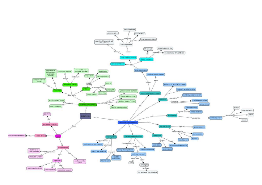 Miniatura del documento Bioethics-conceptual-map.pdf