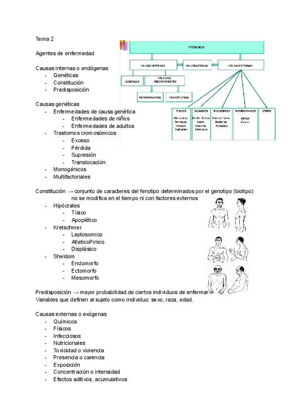 Miniatura del documento Tema-2-Fisiopatologia.pdf