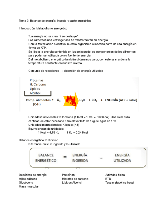 Miniatura del documento Tema-3-Nutricion.pdf