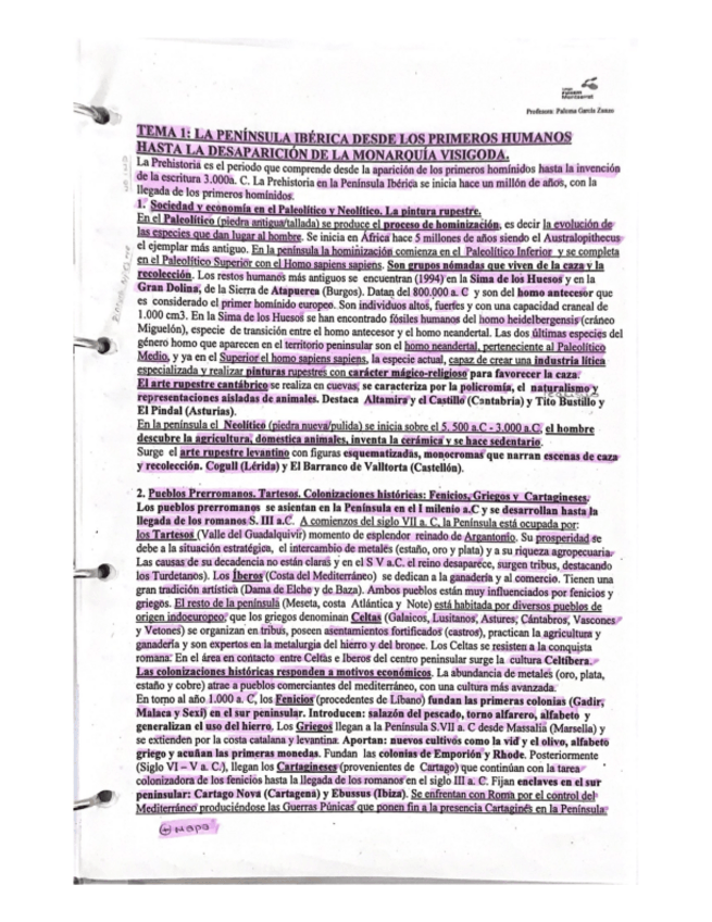 Miniatura del documento Tema-1-y-esquemas.pdf