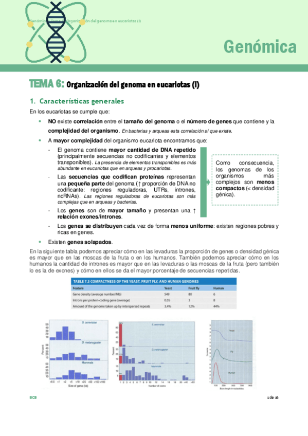 Miniatura del documento APUNTES-TEMA-6ORGANIZACION-DEL-GENOMA-EN-EUCARIOTAS.pdf
