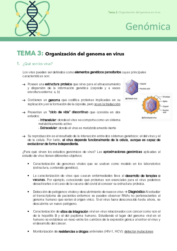 Miniatura del documento tema-3-genoma-virus.pdf