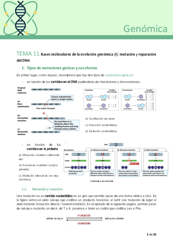 Miniatura del documento Tema-11ok.pdf