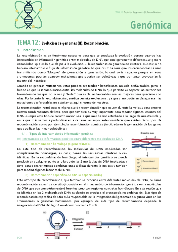 Miniatura del documento T12.pdf
