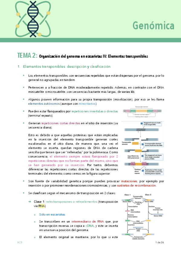 Miniatura del documento GENOMICA-TEMA-9.pdf