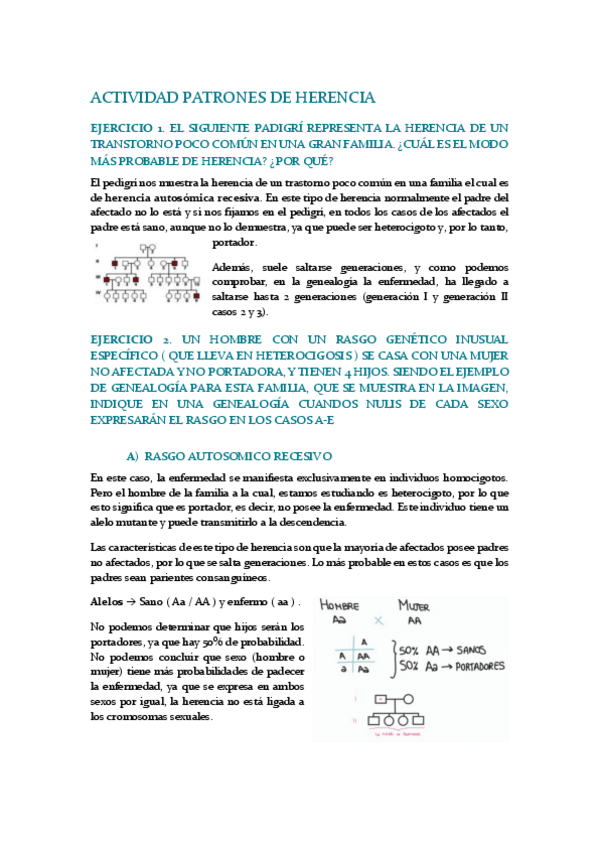 Miniatura del documento Actividad-Patrones-de-Herencia.pdf