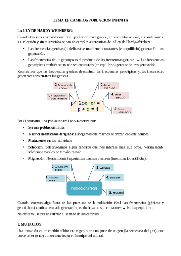Miniatura del documento TEMA-12-CAMBIOS-POBLACION-INFINITA.pdf