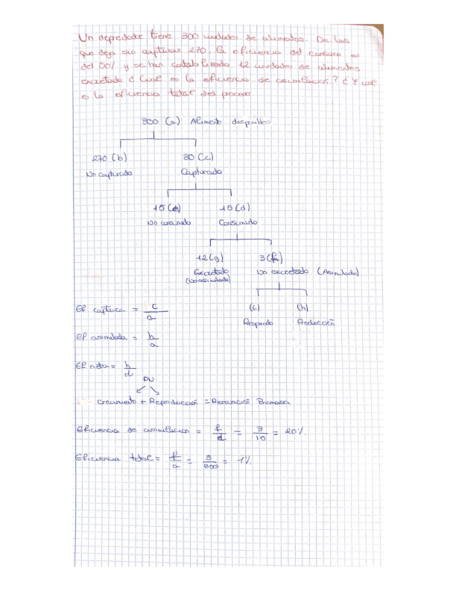 Miniatura del documento Problemas.pdf