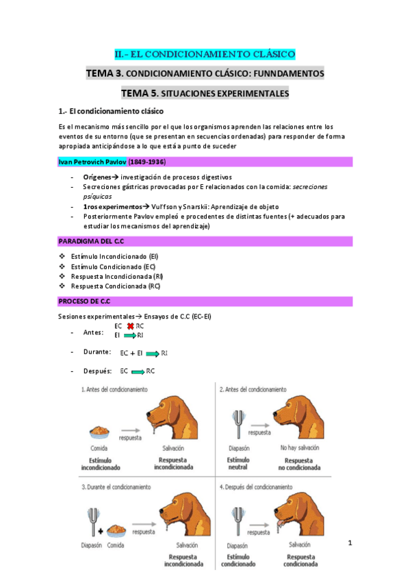 Miniatura del documento T3-y-T5-CC-y-situacion-experimental.pdf