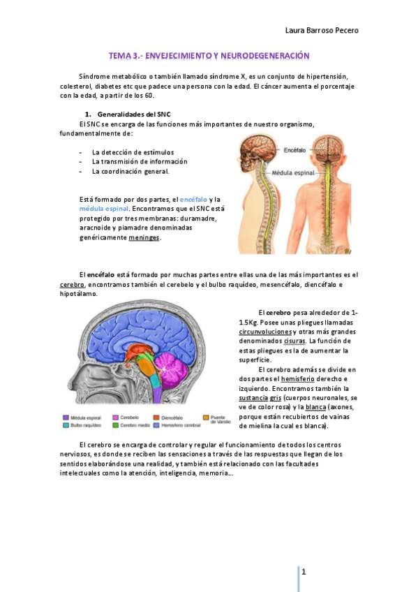 Miniatura del documento TEMA 3.- BQ ENV.pdf