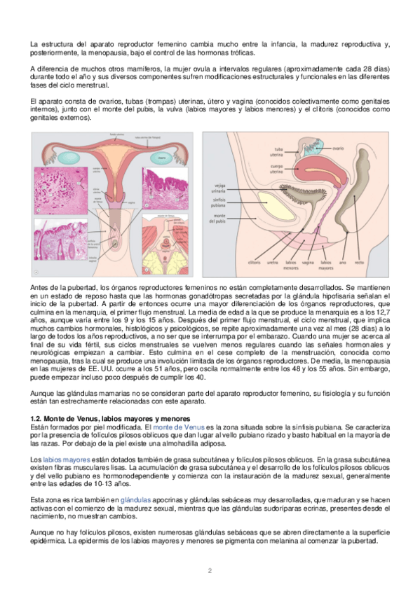 Miniatura del documento Histologia.pdf