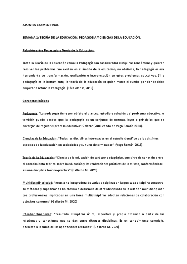 Miniatura del documento APUNTES-FINALES-TEORIA.pdf