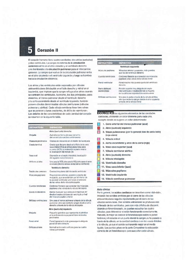 Miniatura del documento Fichas-de-colorear.pdf