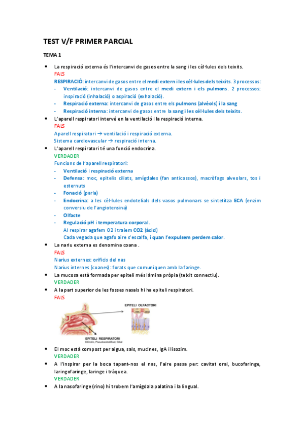 Miniatura del documento TEST-V.F PRIMER PARCIAL (Amb respostes justificades).pdf