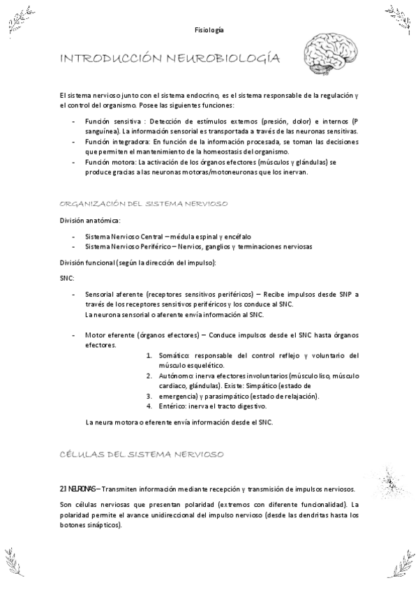 Miniatura del documento neurobiologia.pdf